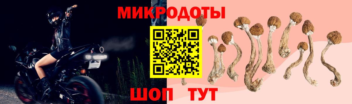 Галлюциногенные грибы Magic Shrooms Нефтекамск